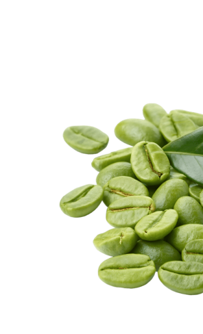 Green coffee beans used in BRYO Coffee
